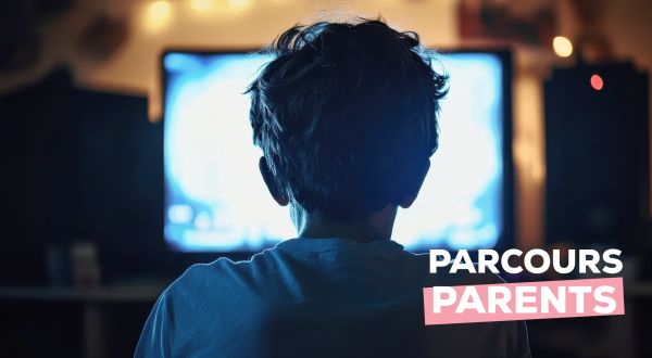 Consommation de pornographie